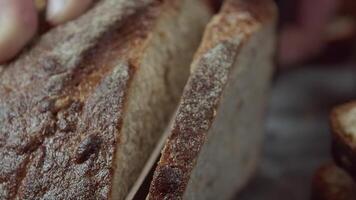 Cutting of fresh baked Dutch wheat bread close-up video