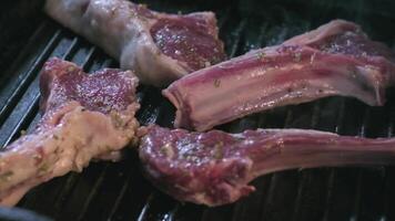 Still raw lamb ribs in spices are grilled video