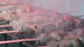 Close-up of lumpy kebab with tomato and ground kebab is grilled on the grill video