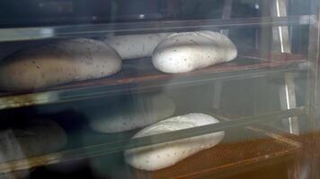 Raisin breads on the baking trays are rotating in a cart inside of a big oven video