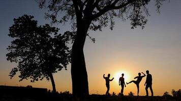 silueta de amigos posando diferentemente en el hermosa noche foto