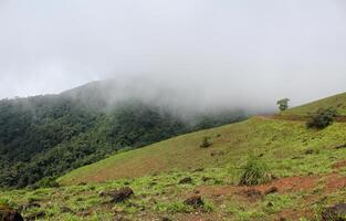 Misty Mountain on Rainy Day photo