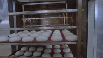 Baker dressed in white and toque puts a cart with bread into big oven video