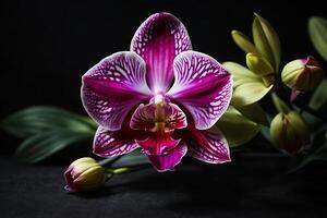 AI generated orchid flower on a black background photo