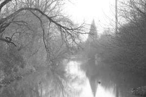 misty morning in the forest photo