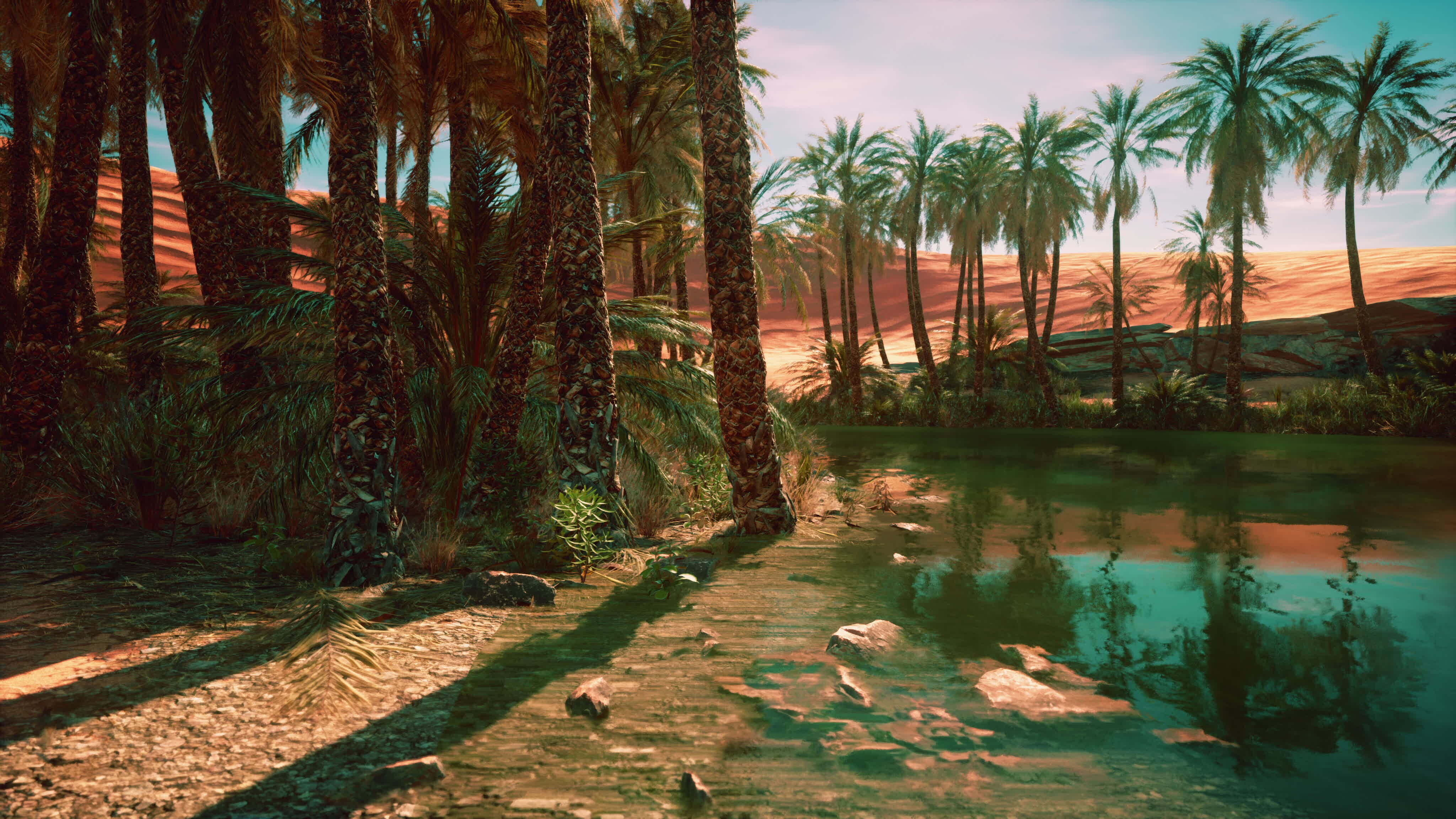 Palm Desert Stock Video Footage for Free Download