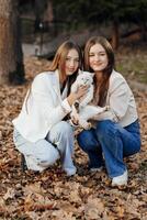 dos Adolescente hermanas otoño en naturaleza. ellos sentar en seco hojas de arboles ellos comunicar con cada otro mientras participación un mascota. ella es teniendo un corazon a corazon conversación. mejor amigos. privacidad. foto