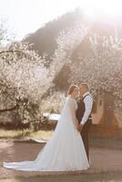 Wedding. Love and couple in garden for wedding. Celebration of ceremony and commitment. Save the date. Trust. The groom embraces the bride against the background of spring blossoming trees. photo