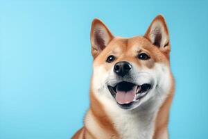 AI generated Cute shiba inu dog on blue background. photo