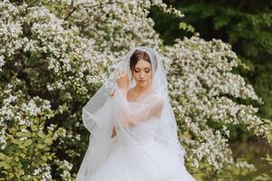 Red-haired bride in a lush dress with an open bust, posing wrapped in a veil, against the background of flowering trees. Spring wedding in nature. photo