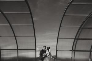 black and white wide-angle photo of the bride and groom against the background of the sky. Free space.