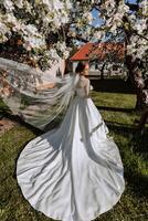 un Pelirrojo novia con un velo arrojado en el aire poses con su espalda envuelto, cerca un floreciente árbol. magnífico vestir con largo mangas, abierto busto. primavera Boda foto