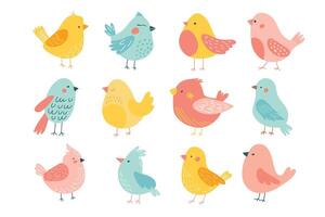 Set of color handdrawn cute birds in flat style on a white background. Spring set. vector