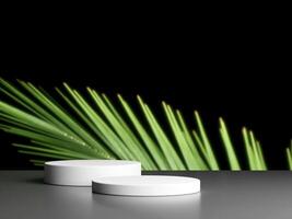 Product display podium with blurred nature leaves background. 3D rendering photo