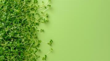 AI generated Microgreens, Fresh, Healthy Living Concept photo