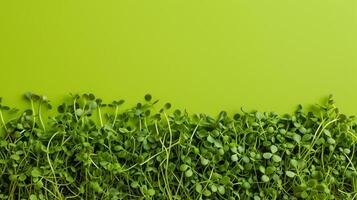 AI generated Fresh Microgreens on Vibrant Green Background photo