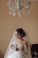 Wedding portrait. The bride in an elegant wedding dress poses wrapped in a veil. Morning of the bride. Beautiful hair and makeup photo