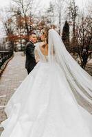 The bride and groom are walking near the hotel and posing, happy and enjoying the day, holding hands. A long train on the dress. Winter wedding photo