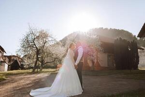 boda. amor y Pareja en jardín para boda. celebracion de ceremonia y compromiso. salvar el fecha. confianza. el novio abraza el novia en contra el antecedentes de primavera cierne arboles foto