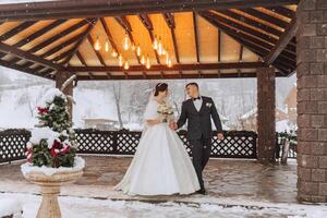 horizontal Disparo de un hermosa novia y novio caminando y disfrutando el parque en un Nevado invierno día. invierno boda. foto