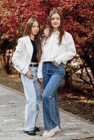 el dos Adolescente hermanas son vestido en casual ropa. otoño en naturaleza. ellos estar y Mira a el cámara. amistad de dos hermanas mejor amigos. intimidad desde adultos foto