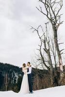 A beautiful couple is standing in a winter pine forest, surrounded by a lot of snow. The bride in a white wedding dress, the groom in a white shirt and waistcoat. Winter wedding concept. photo