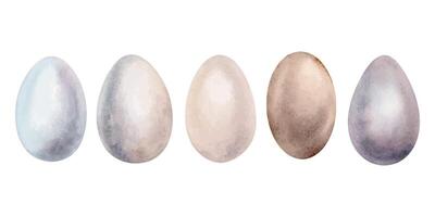 Watercolor Easter eggs. Set of pastel color eggs hand drawing watercolor illustrations in minimalist style. Decorative elements isolated on white background for Easter designs vector