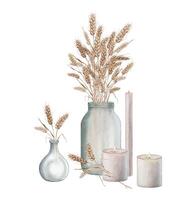 Ears of wheat in a glass vase jar, candle. Autumn harvest. Watercolor hand painting illustration on isolated white background. For design bakery, home products, restaurant menu element vector