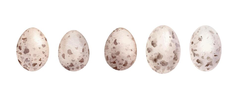 Watercolor Easter quail eggs. Set of pastel color eggs hand drawing watercolor illustrations in minimalist style. Decorative elements isolated on white background for Easter designs