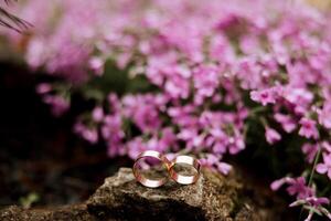 Golden wedding rings on a stone, on a background of pink flowers. Blurred photo, focus on wedding rings. Wedding details photo