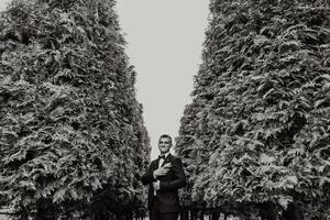 The groom in a black suit adjusts his jacket, poses against the background of a green tree. Wedding black and white portrait. photo