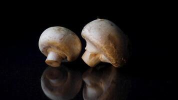 Champignons on black background. Frame. Whole mushrooms rotating on black mirror background. Close up of delicious white mushrooms on black background. video