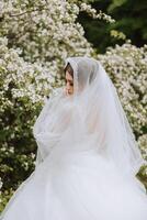 Red-haired bride in a lush dress with an open bust, posing wrapped in a veil, against the background of flowering trees. Spring wedding in nature. photo