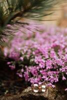 Golden wedding rings on a stone, on a background of pink flowers. Blurred photo, focus on wedding rings. Wedding details photo