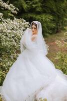 Pelirrojo novia en un lozano vestir con un abierto busto, posando envuelto en un velo, en contra el antecedentes de floración arboles primavera Boda en naturaleza. foto