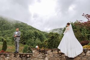 boda. amor y Pareja en parque para boda. celebrando el ceremonia y compromiso. salvar el fecha. confianza. el novio soportes opuesto el novia en contra el antecedentes de montañas y un nublado cielo. foto