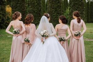 Group portrait of the bride and bridesmaids. Bride in a wedding dress and bridesmaids in pink or powder dresses and holding stylish bouquets on the wedding day. photo