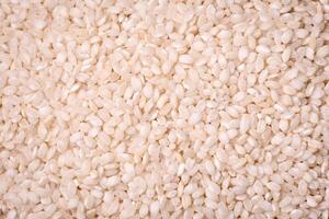 Large grains of uncooked white rice in a ceramic bowl photo