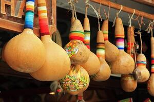 Photo of violin pumpkins with colour images from Bulgaria