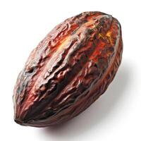 AI generated A single organic cacao bean isolated on a transparent background photo