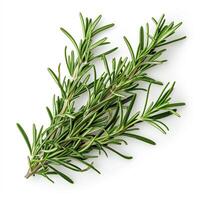 AI generated A sprig of fresh rosemary isolated on a transparent background photo