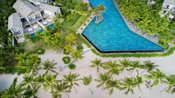 lujo recurso aéreo, palmas, piscina, paraíso foto