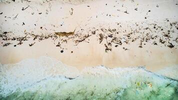 contaminado orilla, urgente llamada para conservación foto