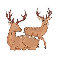 illustration of deer vector
