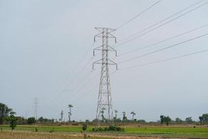 High-voltage tower in rice field. photo