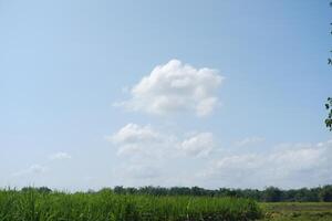 clouds in the blue sky over a green meadow in the countryside photo
