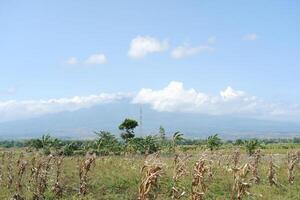 clouds in the blue sky over a green meadow in the countryside photo