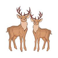 illustration of two deer vector