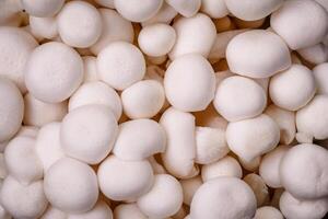 Small white edible beech mushrooms with salt and spices on a plain background photo