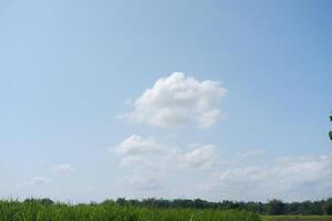 clouds in the blue sky over a green meadow in the countryside photo